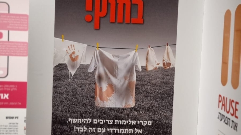 תערוכת קווים  אדומים בבית גבריאל.jpg