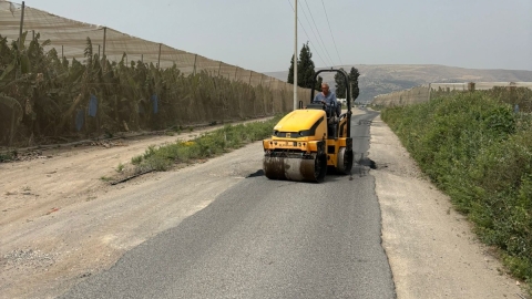 הכביש בין דגניה לצמח.jpg